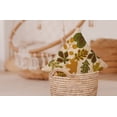 thumbnail image 4 of 26" x 26" Simply Daisy Fall Leaves Polyester Accent Pillow, Autumn Gold Qty 1, 4 of 4