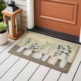 thumbnail image 4 of Entryway Rug 2'x3', Farmhouse Botanical Small Rug for Kitchen Bathroom Door Mat Indoor Entrance, Bottles Plans Country Brown Wooden Grain Non-Slip Area Rugs Floor Mats Carpet Front Door Rugs, 4 of 8