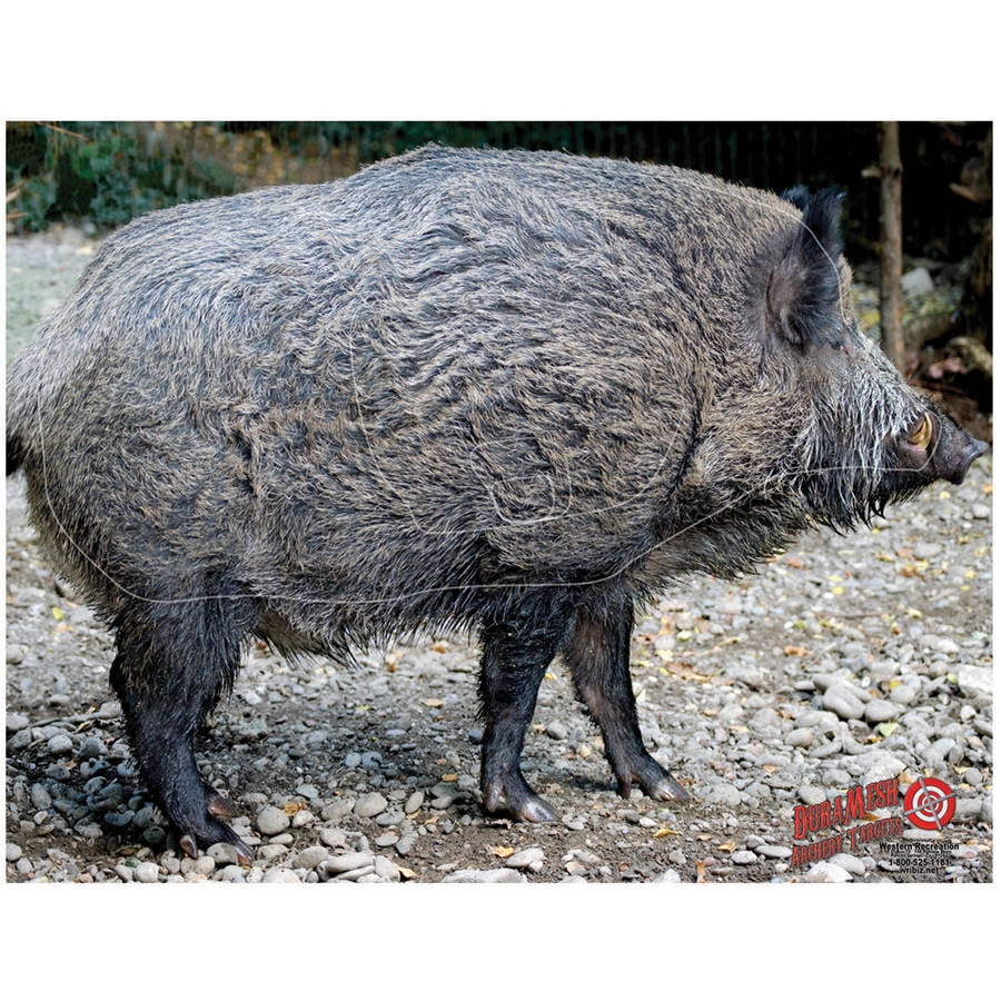 DuraMesh Archery Target