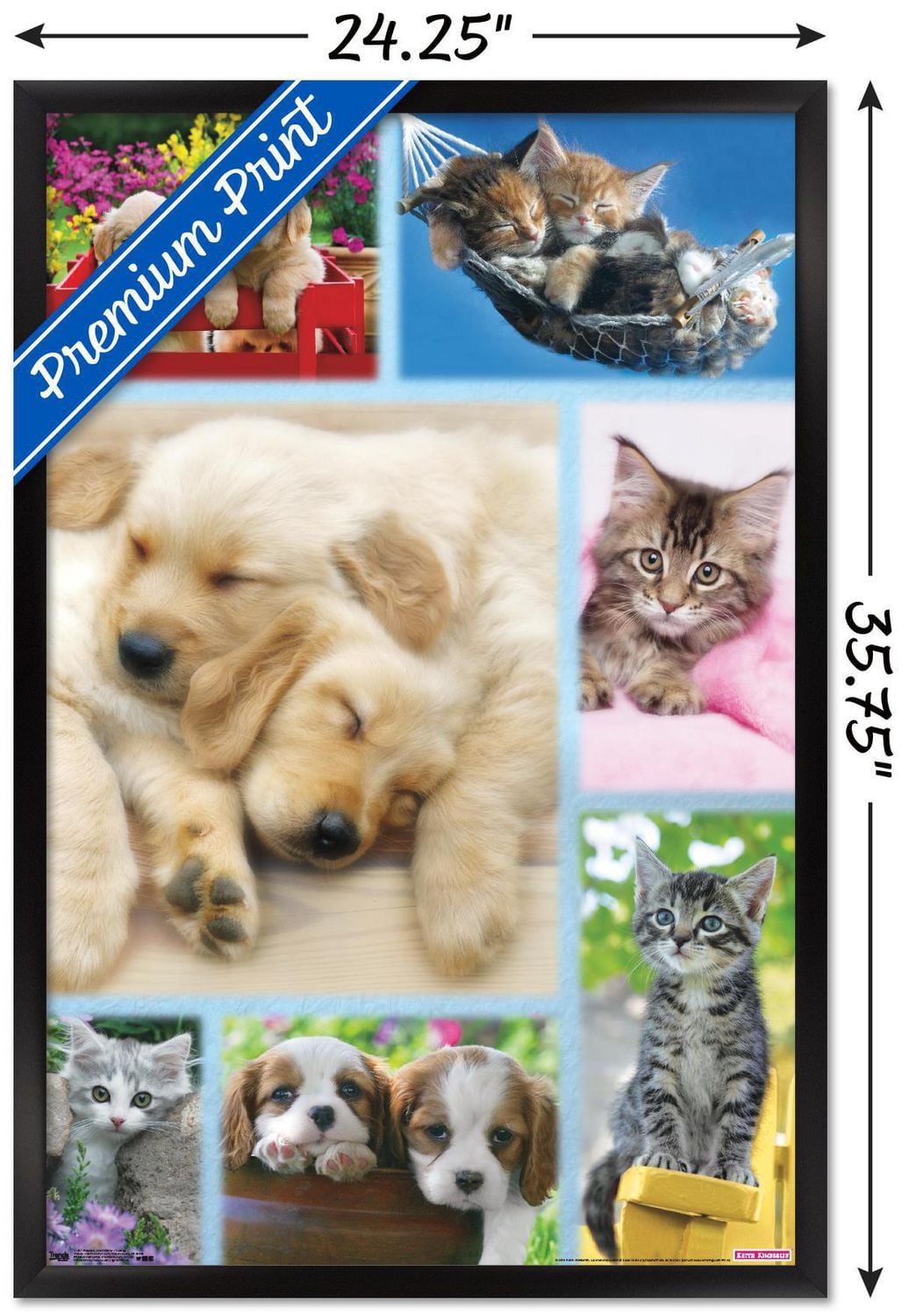 Keith Kimberlin - Puppies and Kittens Collage Wall Poster, 22.375" x 34"