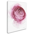 thumbnail image 2 of Trademark Fine Art 'Pink Lady IV' Canvas Art by Elizabeth Urquhart, 2 of 3