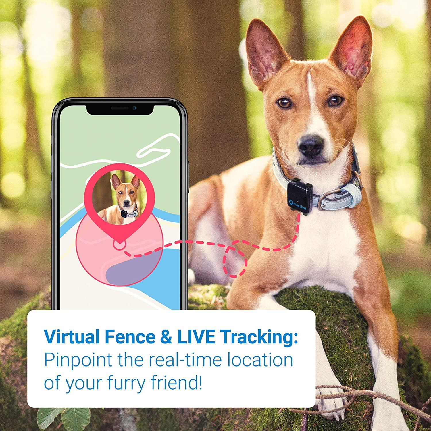 tractive gps canada
