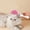 🔥 Pink_New#1714, variant on Pet Grooming Brush for Cats & Dogs | One-Button Self-Cleaning, Removes Loose Hair, Massage Feature, Soft Silicone Teeth, Wet & Dry Use, Ergonomic Handle, Pink/Blue, 16.5x7cm