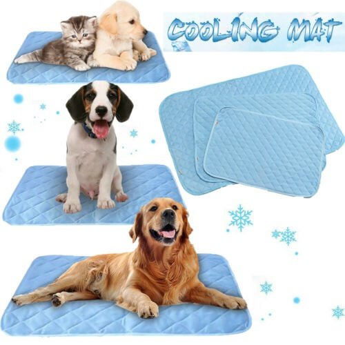 Cooling pet mat clearance kmart