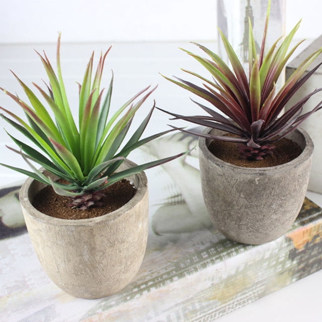 FENGGUIQU 2Ud Suculentas Artificiales Pequeñas Para Decorativa En Diferentes Espacios Del Hogar