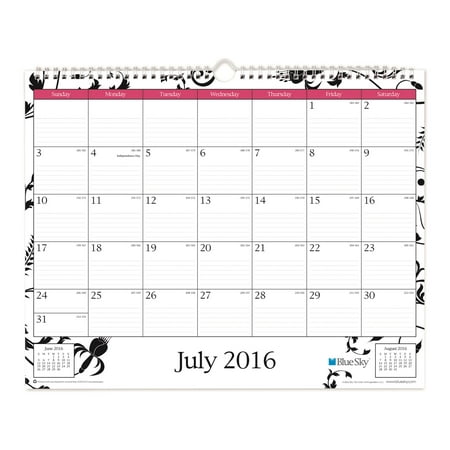 Blue Sky Analeis/Enterprise 15x12 Wall Calendar, July 2016-June 2017