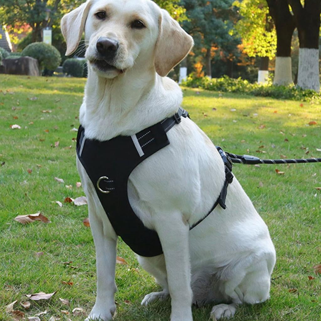 Dog Vest Adjustable Training Harness for Training Walking Nameplate Belt for Large Dogs Heavy Duty