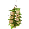 thumbnail image 1 of Parrot Rattan Ball Interactive Bite Resistant Parrot Ball Toy Bird Chew Toy, 1 of 10