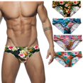 thumbnail image 2 of Maillots de Bain pour Hommes, Imprimé Triangle, Taille Basse, Sexy, pour Source Chaude, Plage, 2 of 6
