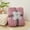 Pink, variant on TACILIP Blanket, 39.4x27.6in Soft and Thick Double Layer Raschel Blanket A Must Have Warming Artifact In Winter Suitable for Beds Sofas and Other Scenes Providing The Ultimatecomfort, Gifts for Her