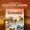 thumbnail image 2 of Juego de cartas Genius Games Ecosystem: Savanna Educational Kids, 2 of 7