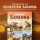 thumbnail image 2 of Juego de cartas Genius Games Ecosystem: Savanna Educational Kids, 2 of 7