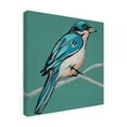 thumbnail image 2 of Trademark Fine Art 'Winged Sketch IV on Teal' Canvas Art by Chariklia Zarris, 2 of 4