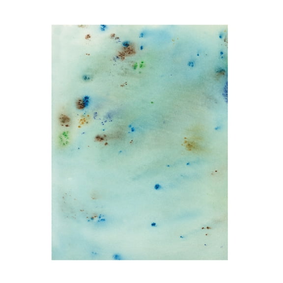 Canvas Wall Art - Jodi Fuchs 'Hawaiian Rain III' Wall Art for Living Room, Bedroom, or Office Décor by Trademark Fine Art - 14 x 19 Inches