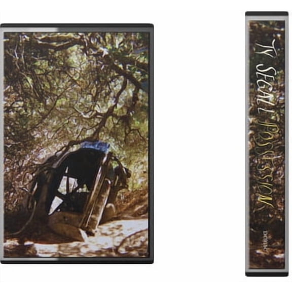 Ty Segall - Possession - Music & Performance - Cassette