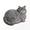 Blue-gray, variant on AJZIOJIRO Cute Cat Bath Mat, 3D Diatomaceous Earth Soft Shower Rug, Absorbent Quick Dry Non-Slip Silica Clay Floor Mat for Bathroom,Multicolored，Various sizes