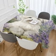thumbnail image 3 of DEIARA Happy Havanese Dog Square Tablecloth 60×60in Polyester Fabric Tablecloth Washable Dust Resistant Wrinkle Resistant, 3 of 9
