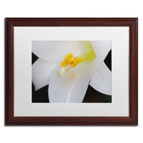 Trademark Fine Art "One Word" Canvas Art by Monica Mize, White Matte, Wood Frame