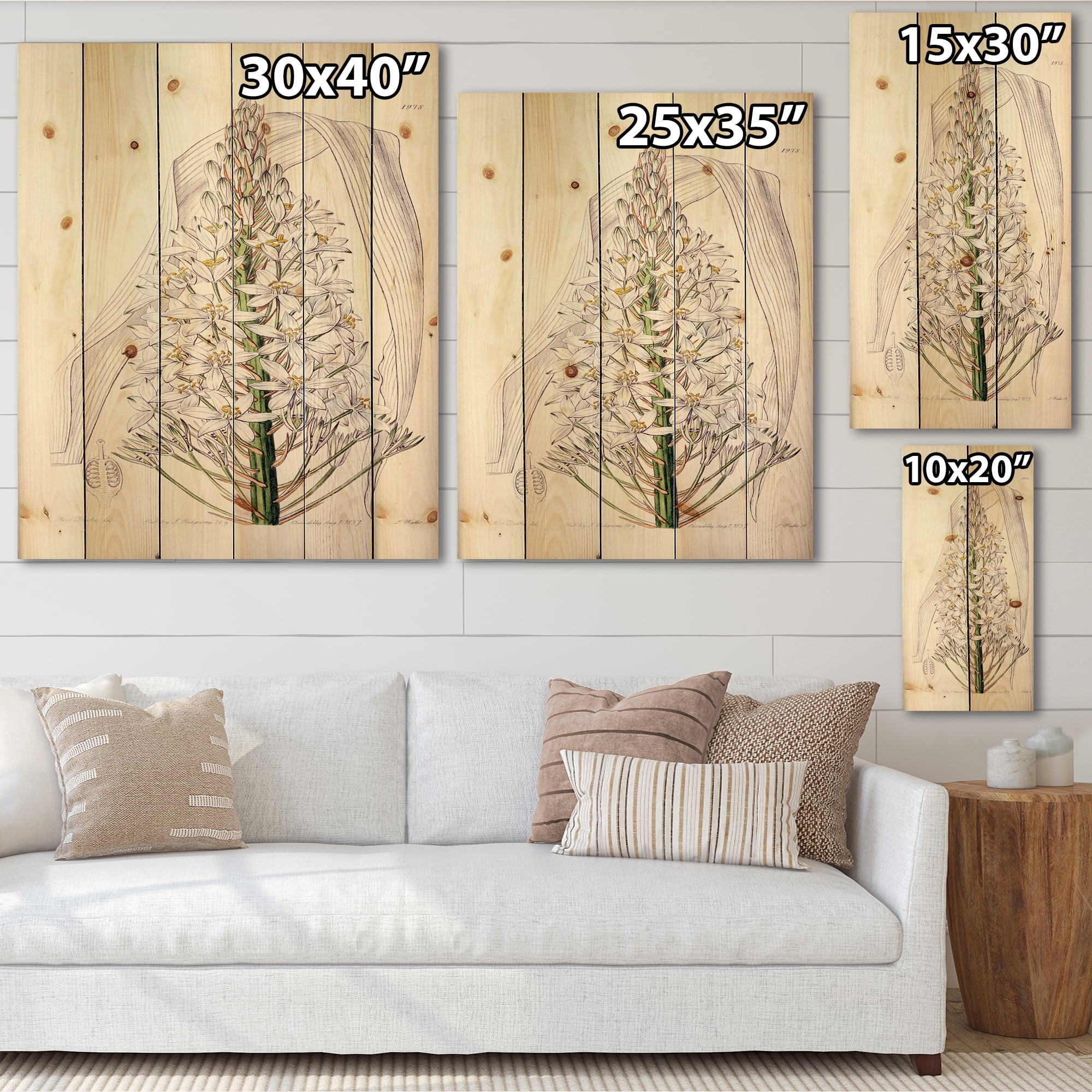 Designart 'White Vintage Orchid I' Traditional Print on Natural Pine Wood