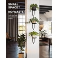 thumbnail image 5 of KEMEINILI Wall Plant Holder 3-Pack Wall Planters for Indoor Plants Plant Hanger Indoor Window Plant Shelves Hanging Plant Holder Window Plant Hanger Plant Deco（Black）, 5 of 7
