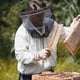 thumbnail image 5 of Sombrero De Malla Para Hombre Y Mujer Sombrero Para El Sol Sombrero Con Red Protectora Contra Mosquitos Y Moscas Gorra Boonie Para Todas Las Actividades Al Aire Libre, 5 of 5