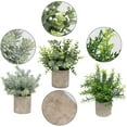 thumbnail image 3 of Mini Potted Plants Artificial Eucalyptus Boxwood Rosemary Faux Herbs Small House Plants 8.3"-9" Tall for Indoor Greenery Tabletop Décor Centerpiece (Sprayed Eucalyptus), 3 of 5