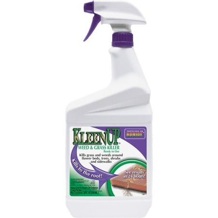 Bonide KleenUP Weed & Grass Killer