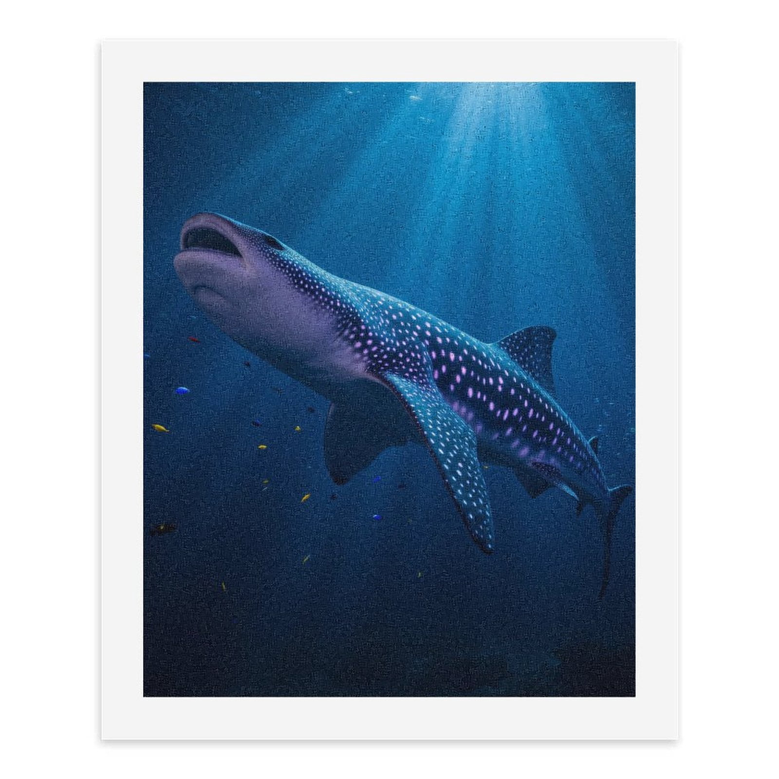 Paint By Numbers Kit for Adults Beginner - DIY Whale Shark Ocean Glow Canvas Painting Kits for Adults, Frameless Paint By Number for Adults for Home Wall Decor 16x20 Inch