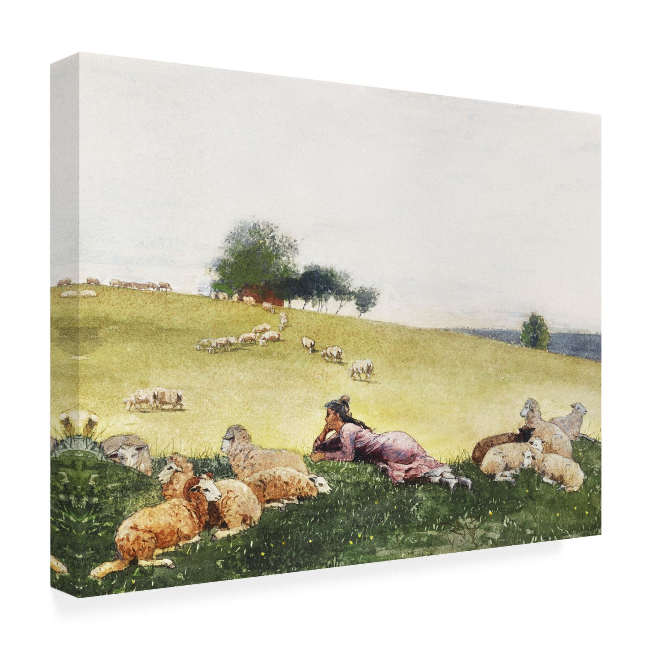 Trademark Fine Art Winslow Homer  Homer's Sheep Countryside II Canvas Wall Art