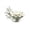 White, variant on YuanGuangQ 3D Printed Seashell Jewelry Box with Coral Coast Decor, Resin Ring Necklace Holder for Beach Theme Room, Decorative Organizer for Small Keepsakes
