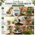 thumbnail image 6 of Creations by Nathalie Succulent & Cactus Soil Blend: Terrarium Planting Mix - Fast Drainage, 6 of 6