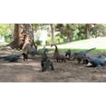 thumbnail image 5 of Figura de Dinosaurio Braqueosaurio Jurassic 30 cm Didacti Juegos DJ-1363, 5 of 5