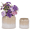 Beige, variant on mdj pottery 2PCS Drip Glaze Ceramic Planters, 6"+8" Breathable Flower Pots Indoor Outdoor for Succulent Orchid Violet, Shelf Desk Decor, Blue Green