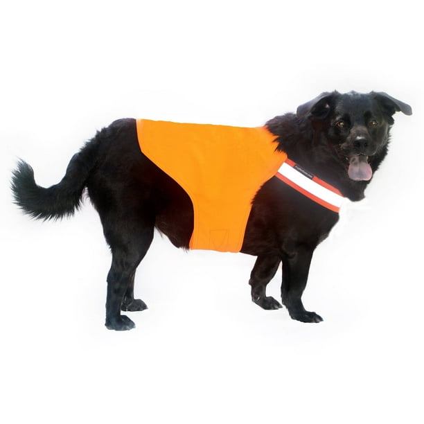 Tick and Insect Repelling Sport Dog Vest, Orange, Multiple Sizes ...