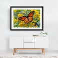 thumbnail image 2 of Monarch Butterfly and Wasp on Goldenrod - York Pennsylvania Photography Butterfly Insect Wildlife Nature Floral Garden Animal Black Framed Wall Art Print 5 x 7 inches, 2 of 4