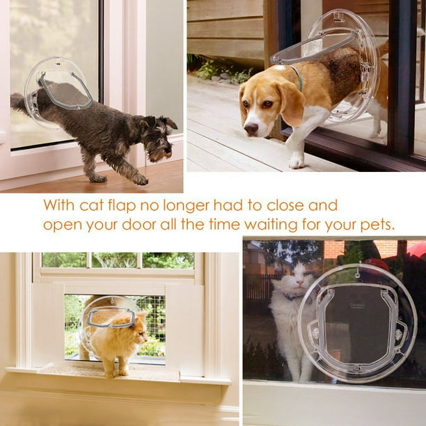 Dog door top no cats