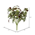 thumbnail image 2 of Vickerman 12.5" Artificial Green Spiderwort Bush, Set of 3, 2 of 3
