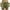 Dark Green, variant on SKSloeg Womens Skirt with Shorts Pleated Athletic Mini Running Skirts with Shorts Twill Pattern Plus Size High Waist Skorts Camouflage XXL