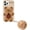 Bear Khaki Hairball, variant on Case for iPhone 14 Pro Max Case Funny Phone Case Cute iPhone 14 Pro Max Case Flower Teddy Bear Kawaii Creative Soft Rubber Bumper Shockproof Cover Protective Case for Women Girls Brown