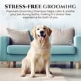 thumbnail image 5 of Natural Dog Shampoo for Itchy and Sensitive Skin (Show Dog), 5 of 9
