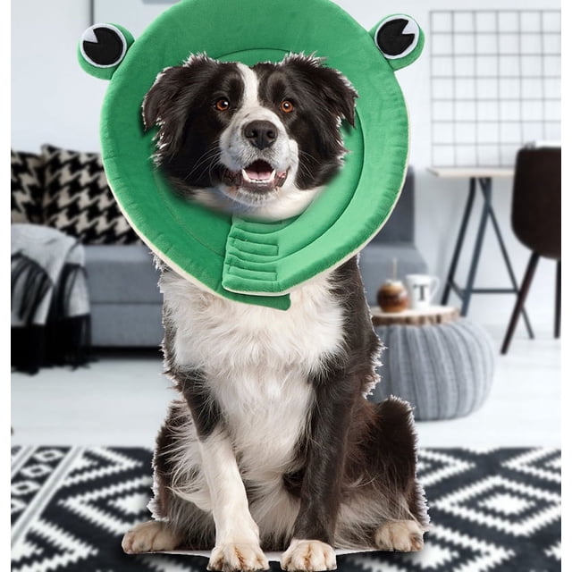 Anillo antilamer Bling Bling Círculo protector para heridas para mascotas Perros y Gatos XL Verde