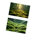 thumbnail image 4 of Miulika Fond Photo pour Livres Magazines Fleurs Commerciales, 4 of 9