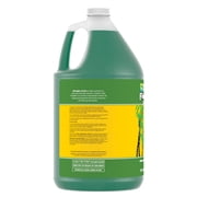 General Hydroponics FloraGro, 1-Gallon