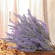thumbnail image 5 of Artificial Lavender Flowers 8-Piece Set - Faux Plastic Arrangement for Table Decor & Floral Home Decoration, 5 of 5