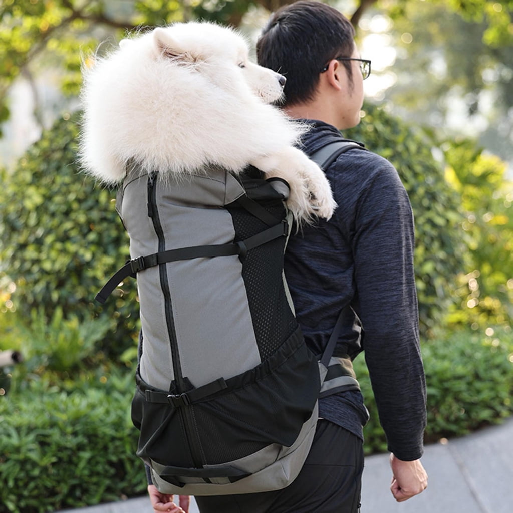Water Dog Carrier Backpacks Durability Large Dog Carrying Bag for Other Outdoor Activity