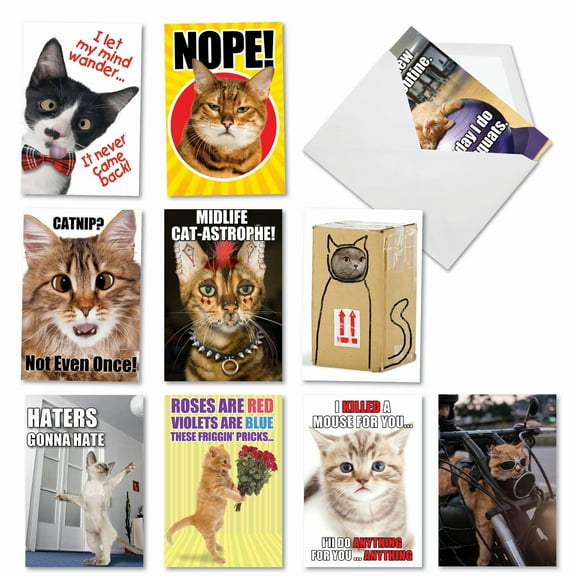 10 Assorted Set Funny Birthday Greeting Cards - PetiGreet Cats - Hysterical Felines in Various Scenarios