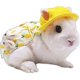 thumbnail image 4 of Ropa de conejo para mascotas con arnés, correa, bolsa, sombreros, 4 of 5