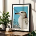 thumbnail image 4 of Skyward Gaze - Athens Greece Photography Bird Wildlife Seaside Coastal Nature Ocean Minimalist Black Framed Wall Art Print 5 x 7 inches, 4 of 9