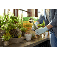 thumbnail image 3 of Miracle-Gro Cactus, Palm & Citrus Potting Mix and Miracle-Gro Succulent Plant Food, 3 of 5