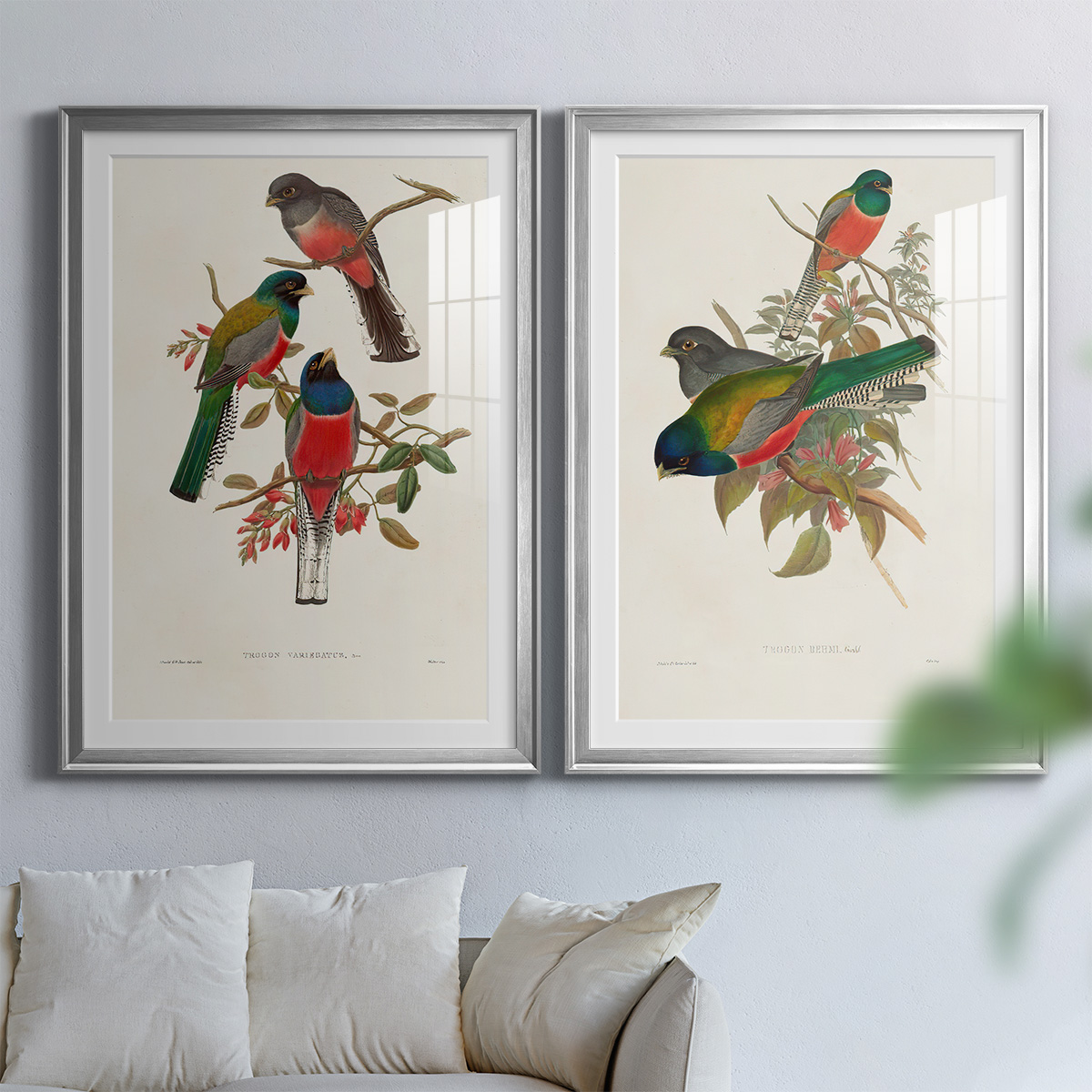 Wexford Home Elegant Trogons IX Premium Framed Print, 30.5" x 42.5" - Ready to Hang, Silver (Set of 2)